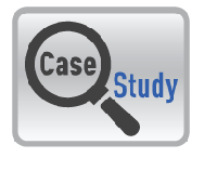 THE ORGANIZATION case study solution